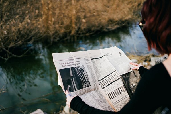 Grüne Dächer: Der geheime Schlüssel zur urbanen Luftreinheit?